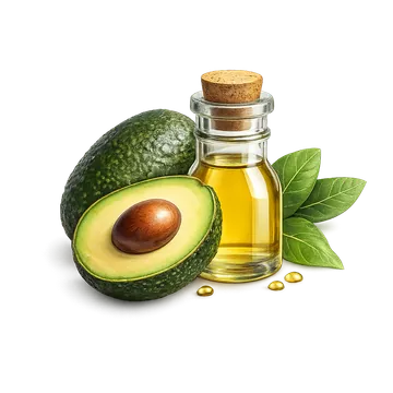 Avocado Oil ingredient visual